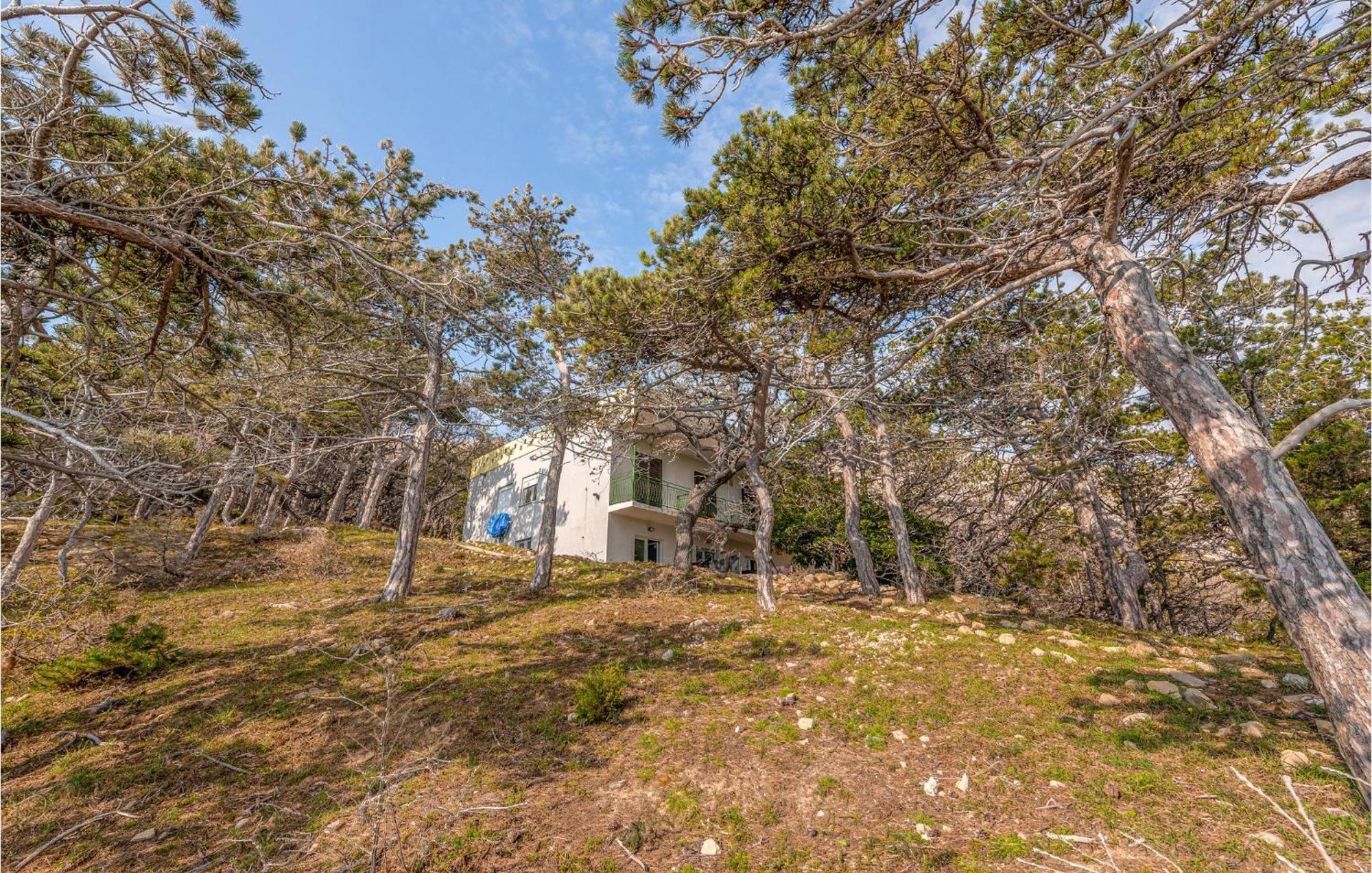 Pet Friendly Apartment In Novalja With Kitchen Exteriör bild