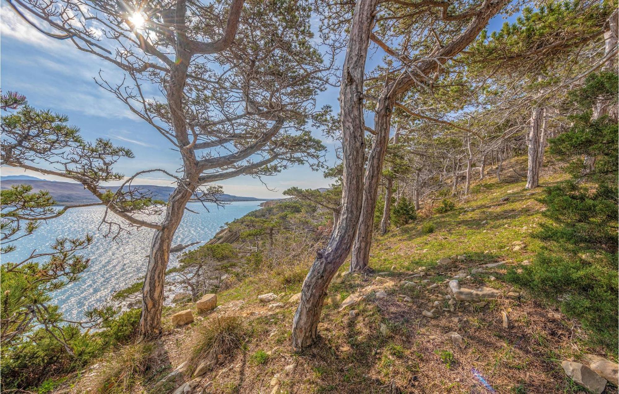 Pet Friendly Apartment In Novalja With Kitchen Exteriör bild